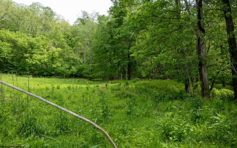 Lot 1 Opekiska Road, Fairmont, West Virginia 26554, ,Lots/land,For Sale,Opekiska,10165027 Lot 1 Opekiska Road, Fairmont, West Virginia 26554, ,Lots/land,For Sale,Opekiska,10165027
