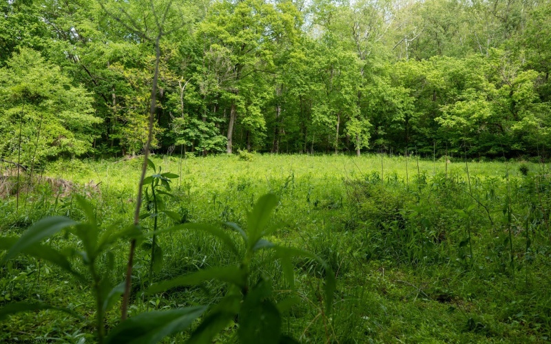 Lot 1 Opekiska Road, Fairmont, West Virginia 26554, ,Lots/land,For Sale,Opekiska,10165027 Lot 1 Opekiska Road, Fairmont, West Virginia 26554, ,Lots/land,For Sale,Opekiska,10165027