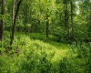 Lot 1 Opekiska Road, Fairmont, West Virginia 26554, ,Lots/land,For Sale,Opekiska,10165027 Lot 1 Opekiska Road, Fairmont, West Virginia 26554, ,Lots/land,For Sale,Opekiska,10165027