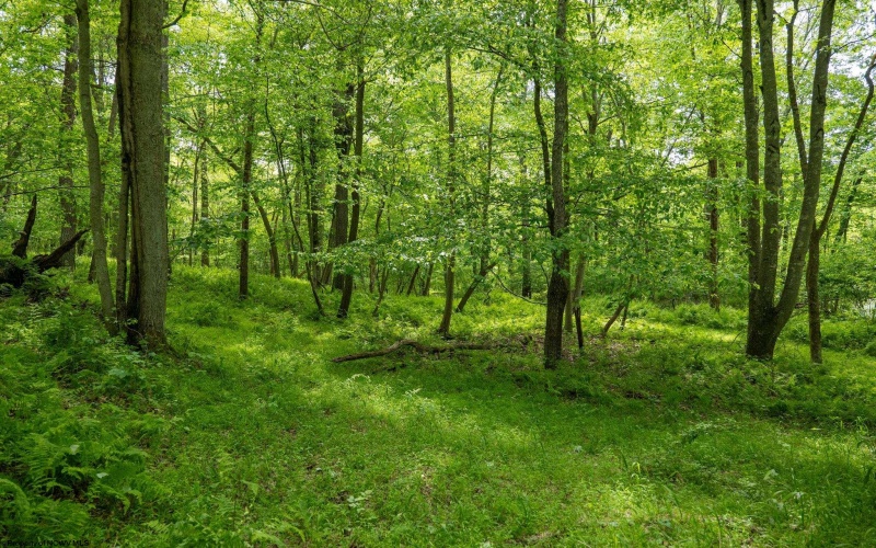 Lot 1 Opekiska Road, Fairmont, West Virginia 26554, ,Lots/land,For Sale,Opekiska,10165027 Lot 1 Opekiska Road, Fairmont, West Virginia 26554, ,Lots/land,For Sale,Opekiska,10165027