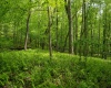 Lot 1 Opekiska Road, Fairmont, West Virginia 26554, ,Lots/land,For Sale,Opekiska,10165027 Lot 1 Opekiska Road, Fairmont, West Virginia 26554, ,Lots/land,For Sale,Opekiska,10165027
