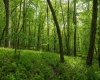 Lot 1 Opekiska Road, Fairmont, West Virginia 26554, ,Lots/land,For Sale,Opekiska,10165027 Lot 1 Opekiska Road, Fairmont, West Virginia 26554, ,Lots/land,For Sale,Opekiska,10165027