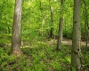 Lot 1 Opekiska Road, Fairmont, West Virginia 26554, ,Lots/land,For Sale,Opekiska,10165027 Lot 1 Opekiska Road, Fairmont, West Virginia 26554, ,Lots/land,For Sale,Opekiska,10165027