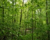 Lot 1 Opekiska Road, Fairmont, West Virginia 26554, ,Lots/land,For Sale,Opekiska,10165027 Lot 1 Opekiska Road, Fairmont, West Virginia 26554, ,Lots/land,For Sale,Opekiska,10165027