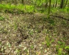 Lot 1 Opekiska Road, Fairmont, West Virginia 26554, ,Lots/land,For Sale,Opekiska,10165027 Lot 1 Opekiska Road, Fairmont, West Virginia 26554, ,Lots/land,For Sale,Opekiska,10165027