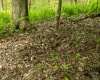 Lot 1 Opekiska Road, Fairmont, West Virginia 26554, ,Lots/land,For Sale,Opekiska,10165027 Lot 1 Opekiska Road, Fairmont, West Virginia 26554, ,Lots/land,For Sale,Opekiska,10165027