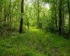 Lot 1 Opekiska Road, Fairmont, West Virginia 26554, ,Lots/land,For Sale,Opekiska,10165027 Lot 1 Opekiska Road, Fairmont, West Virginia 26554, ,Lots/land,For Sale,Opekiska,10165027