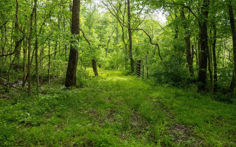 Lot 1 Opekiska Road, Fairmont, West Virginia 26554, ,Lots/land,For Sale,Opekiska,10165027 Lot 1 Opekiska Road, Fairmont, West Virginia 26554, ,Lots/land,For Sale,Opekiska,10165027