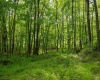 Lot 1 Opekiska Road, Fairmont, West Virginia 26554, ,Lots/land,For Sale,Opekiska,10165027 Lot 1 Opekiska Road, Fairmont, West Virginia 26554, ,Lots/land,For Sale,Opekiska,10165027