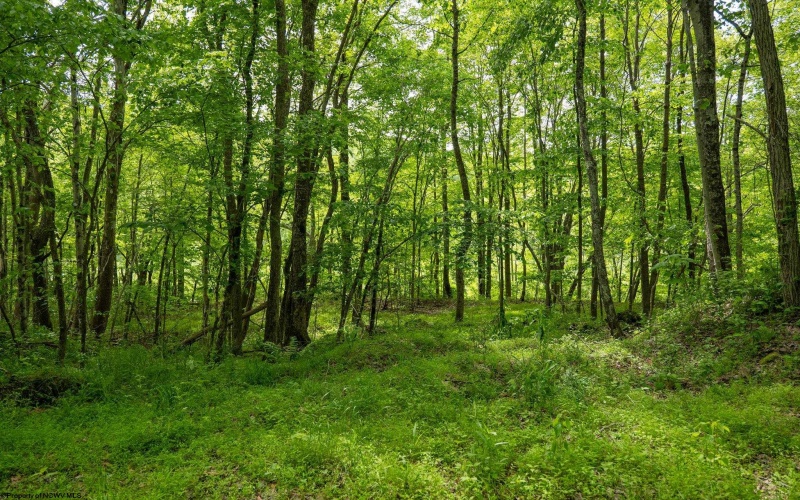 Lot 1 Opekiska Road, Fairmont, West Virginia 26554, ,Lots/land,For Sale,Opekiska,10165027 Lot 1 Opekiska Road, Fairmont, West Virginia 26554, ,Lots/land,For Sale,Opekiska,10165027
