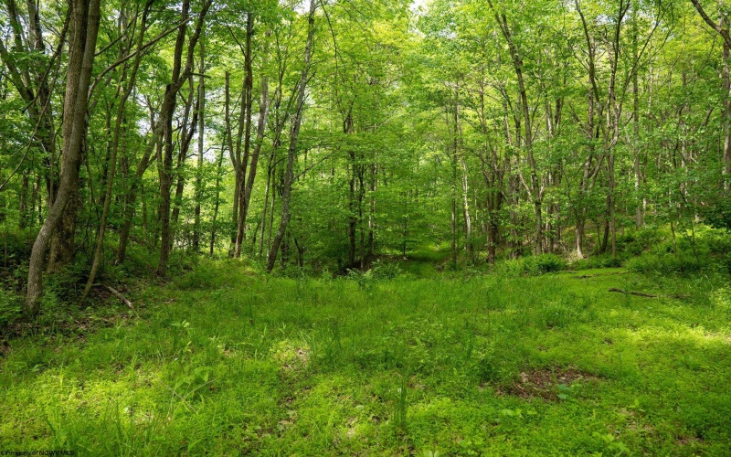 Lot 1 Opekiska Road, Fairmont, West Virginia 26554, ,Lots/land,For Sale,Opekiska,10165027 Lot 1 Opekiska Road, Fairmont, West Virginia 26554, ,Lots/land,For Sale,Opekiska,10165027
