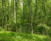 Lot 1 Opekiska Road, Fairmont, West Virginia 26554, ,Lots/land,For Sale,Opekiska,10165027 Lot 1 Opekiska Road, Fairmont, West Virginia 26554, ,Lots/land,For Sale,Opekiska,10165027