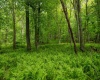 Lot 1 Opekiska Road, Fairmont, West Virginia 26554, ,Lots/land,For Sale,Opekiska,10165027 Lot 1 Opekiska Road, Fairmont, West Virginia 26554, ,Lots/land,For Sale,Opekiska,10165027