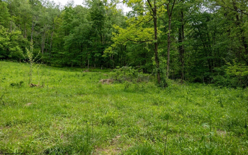 Lot 1 Opekiska Road, Fairmont, West Virginia 26554, ,Lots/land,For Sale,Opekiska,10165027 Lot 1 Opekiska Road, Fairmont, West Virginia 26554, ,Lots/land,For Sale,Opekiska,10165027
