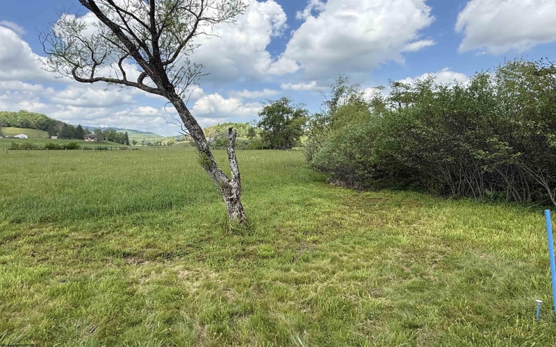 0 route 219 (RR), Kerens, West Virginia 26241, ,Lots/land,For Sale,route 219,10165026 0 route 219 (RR), Kerens, West Virginia 26241, ,Lots/land,For Sale,route 219,10165026