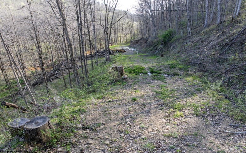 Lot 1 Squires Run Road, Reedsville, West Virginia 26547, ,Lots/land,For Sale,Squires Run,10165028 Lot 1 Squires Run Road, Reedsville, West Virginia 26547, ,Lots/land,For Sale,Squires Run,10165028