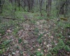 Lot 1 Squires Run Road, Reedsville, West Virginia 26547, ,Lots/land,For Sale,Squires Run,10165028 Lot 1 Squires Run Road, Reedsville, West Virginia 26547, ,Lots/land,For Sale,Squires Run,10165028