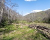 Lot 1 Squires Run Road, Reedsville, West Virginia 26547, ,Lots/land,For Sale,Squires Run,10165028 Lot 1 Squires Run Road, Reedsville, West Virginia 26547, ,Lots/land,For Sale,Squires Run,10165028