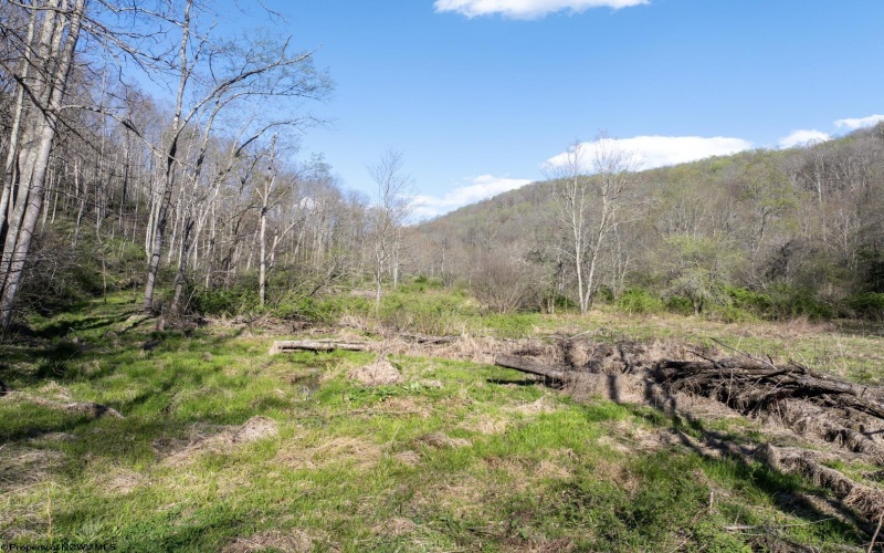 Lot 1 Squires Run Road, Reedsville, West Virginia 26547, ,Lots/land,For Sale,Squires Run,10165028 Lot 1 Squires Run Road, Reedsville, West Virginia 26547, ,Lots/land,For Sale,Squires Run,10165028