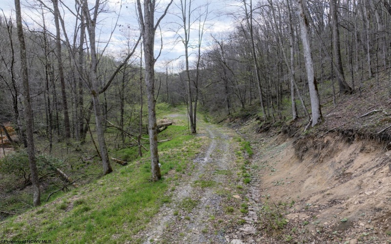 Lot 1 Squires Run Road, Reedsville, West Virginia 26547, ,Lots/land,For Sale,Squires Run,10165028 Lot 1 Squires Run Road, Reedsville, West Virginia 26547, ,Lots/land,For Sale,Squires Run,10165028