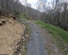 Lot 1 Squires Run Road, Reedsville, West Virginia 26547, ,Lots/land,For Sale,Squires Run,10165028 Lot 1 Squires Run Road, Reedsville, West Virginia 26547, ,Lots/land,For Sale,Squires Run,10165028
