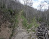 Lot 1 Squires Run Road, Reedsville, West Virginia 26547, ,Lots/land,For Sale,Squires Run,10165028 Lot 1 Squires Run Road, Reedsville, West Virginia 26547, ,Lots/land,For Sale,Squires Run,10165028