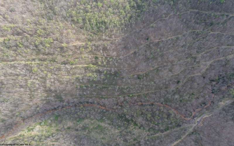Lot 1 Squires Run Road, Reedsville, West Virginia 26547, ,Lots/land,For Sale,Squires Run,10165028 Lot 1 Squires Run Road, Reedsville, West Virginia 26547, ,Lots/land,For Sale,Squires Run,10165028