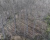 Lot 1 Squires Run Road, Reedsville, West Virginia 26547, ,Lots/land,For Sale,Squires Run,10165028 Lot 1 Squires Run Road, Reedsville, West Virginia 26547, ,Lots/land,For Sale,Squires Run,10165028