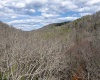 Lot 1 Squires Run Road, Reedsville, West Virginia 26547, ,Lots/land,For Sale,Squires Run,10165028 Lot 1 Squires Run Road, Reedsville, West Virginia 26547, ,Lots/land,For Sale,Squires Run,10165028