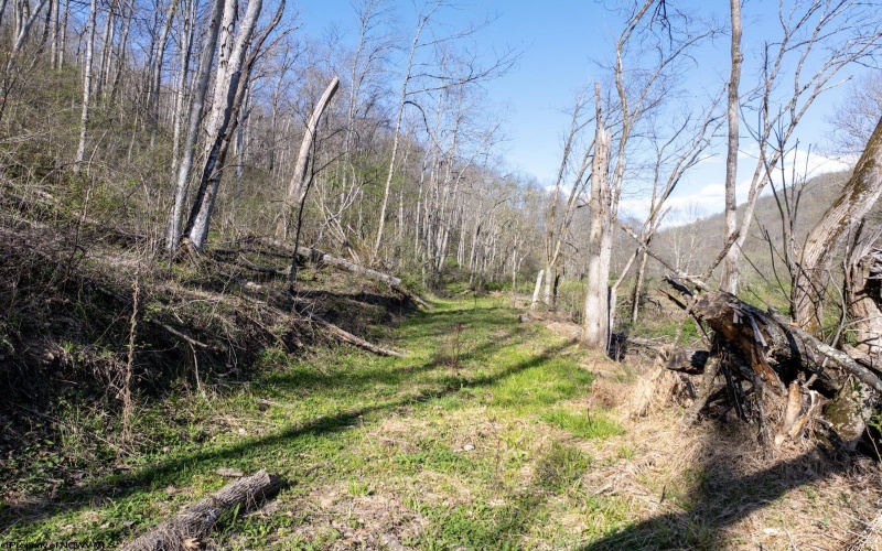 Lot 1 Squires Run Road, Reedsville, West Virginia 26547, ,Lots/land,For Sale,Squires Run,10165028 Lot 1 Squires Run Road, Reedsville, West Virginia 26547, ,Lots/land,For Sale,Squires Run,10165028