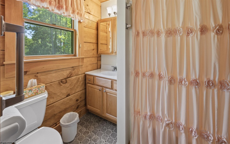 216 Whitetail Lane, Buckhannon, West Virginia 26201, 3 Bedrooms Bedrooms, 7 Rooms Rooms,3 BathroomsBathrooms,Single Family Detached,For Sale,Whitetail,10164951