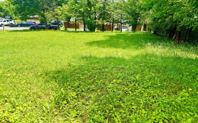 36 Grafton Road, Fairmont, West Virginia 26554, ,Lots/land,For Sale,Grafton,10165040 36 Grafton Road, Fairmont, West Virginia 26554, ,Lots/land,For Sale,Grafton,10165040