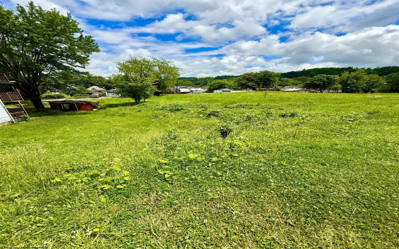 36 Grafton Road, Fairmont, West Virginia 26554, ,Lots/land,For Sale,Grafton,10165040 36 Grafton Road, Fairmont, West Virginia 26554, ,Lots/land,For Sale,Grafton,10165040