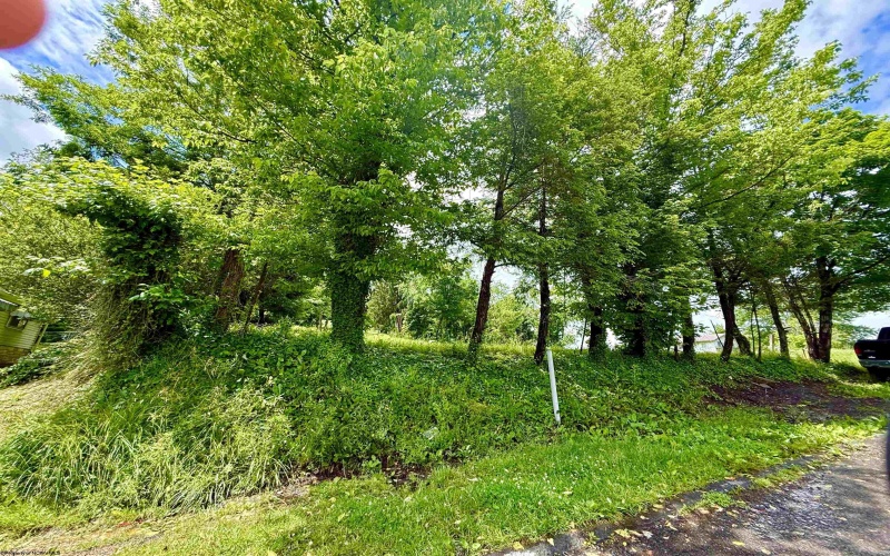 36 Grafton Road, Fairmont, West Virginia 26554, ,Lots/land,For Sale,Grafton,10165040 36 Grafton Road, Fairmont, West Virginia 26554, ,Lots/land,For Sale,Grafton,10165040