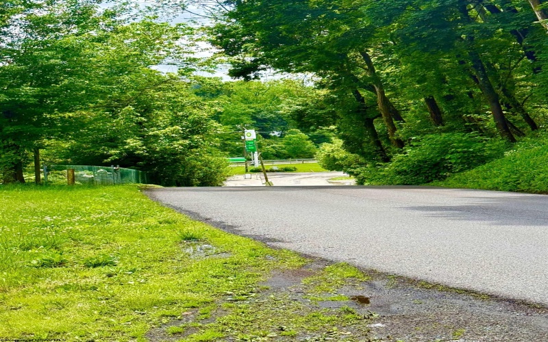 36 Grafton Road, Fairmont, West Virginia 26554, ,Lots/land,For Sale,Grafton,10165040 36 Grafton Road, Fairmont, West Virginia 26554, ,Lots/land,For Sale,Grafton,10165040