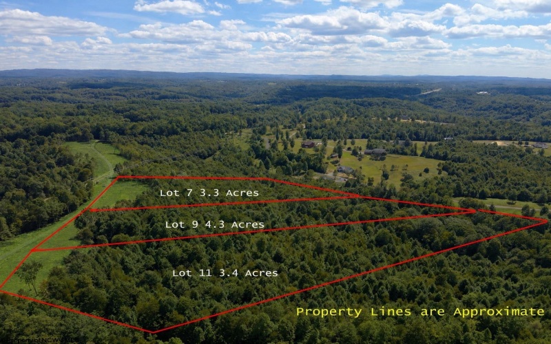 Lot 1 Gauley Ridge Road, Mount Nebo, West Virginia 26679, ,Lots/land,For Sale,Gauley Ridge,10165044