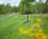 Lot 1 Gauley Ridge Road, Mount Nebo, West Virginia 26679, ,Lots/land,For Sale,Gauley Ridge,10165044