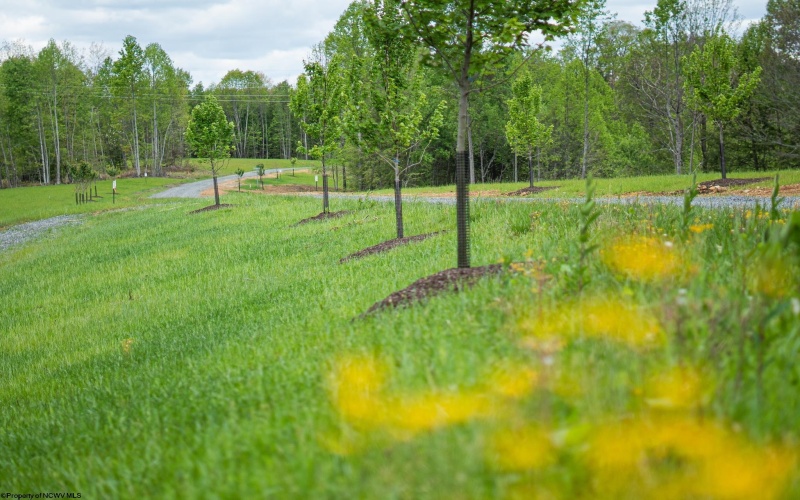 Lot 1 Gauley Ridge Road, Mount Nebo, West Virginia 26679, ,Lots/land,For Sale,Gauley Ridge,10165044