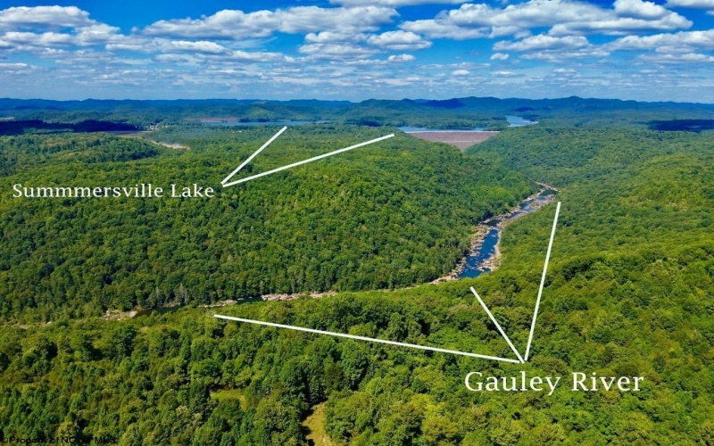 Lot 1 Gauley Ridge Road, Mount Nebo, West Virginia 26679, ,Lots/land,For Sale,Gauley Ridge,10165044