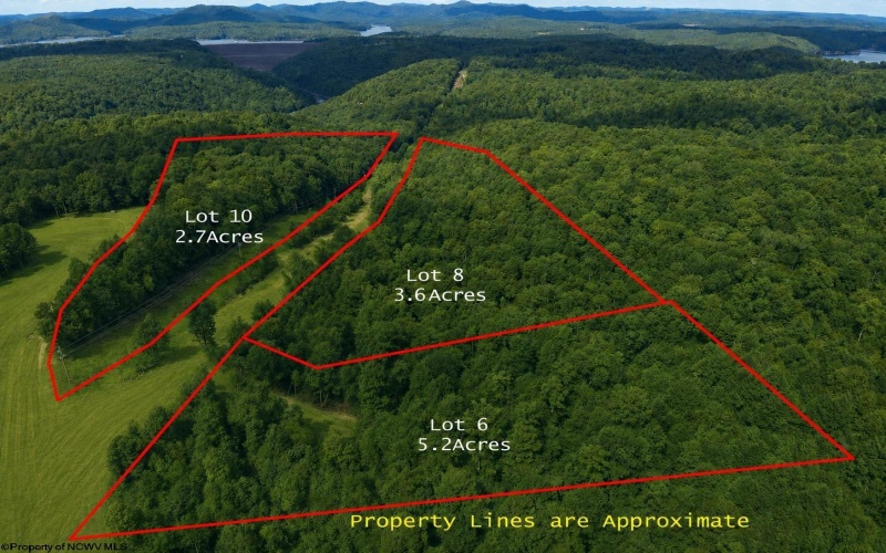 Lot 1 Gauley Ridge Road, Mount Nebo, West Virginia 26679, ,Lots/land,For Sale,Gauley Ridge,10165044