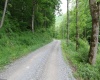 390 Big Sycamore Road, Webster Springs, West Virginia 26288, ,Lots/land,For Sale,Big Sycamore,10165058