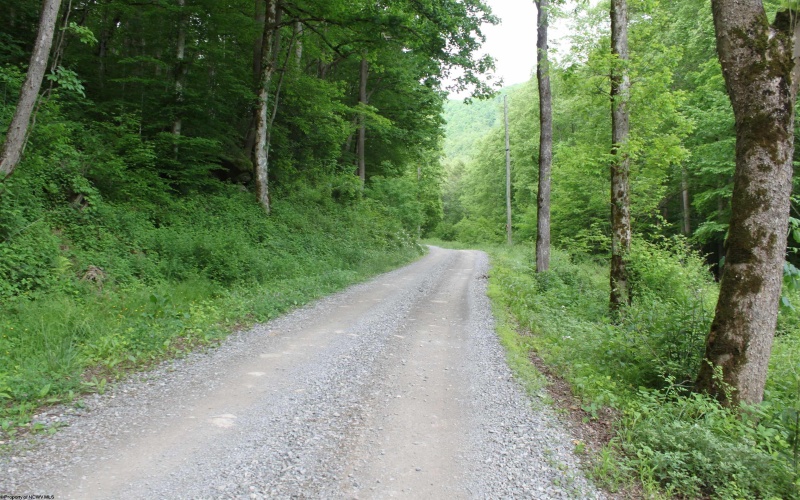 390 Big Sycamore Road, Webster Springs, West Virginia 26288, ,Lots/land,For Sale,Big Sycamore,10165058