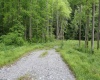 390 Big Sycamore Road, Webster Springs, West Virginia 26288, ,Lots/land,For Sale,Big Sycamore,10165058