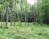 390 Big Sycamore Road, Webster Springs, West Virginia 26288, ,Lots/land,For Sale,Big Sycamore,10165058