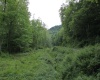 390 Big Sycamore Road, Webster Springs, West Virginia 26288, ,Lots/land,For Sale,Big Sycamore,10165058