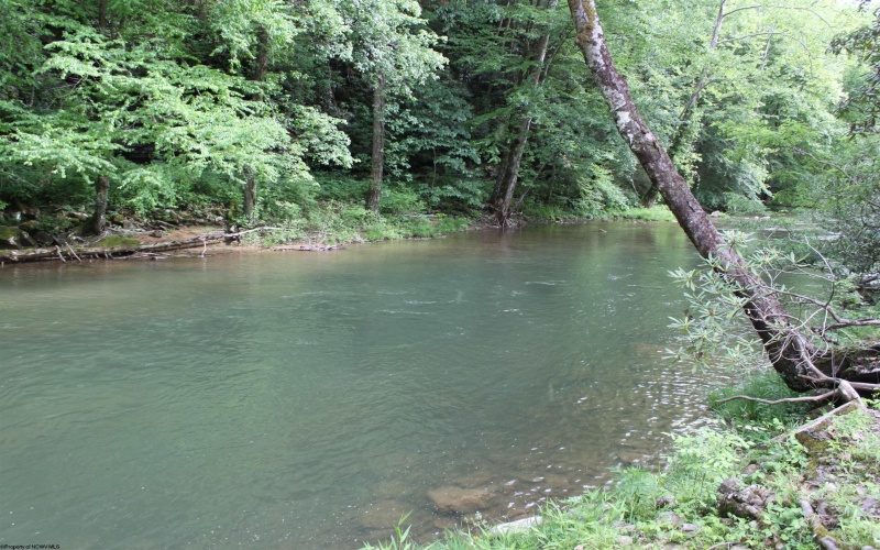 390 Big Sycamore Road, Webster Springs, West Virginia 26288, ,Lots/land,For Sale,Big Sycamore,10165058