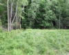 390 Big Sycamore Road, Webster Springs, West Virginia 26288, ,Lots/land,For Sale,Big Sycamore,10165058