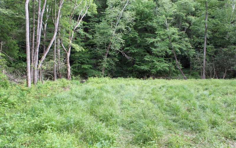 390 Big Sycamore Road, Webster Springs, West Virginia 26288, ,Lots/land,For Sale,Big Sycamore,10165058
