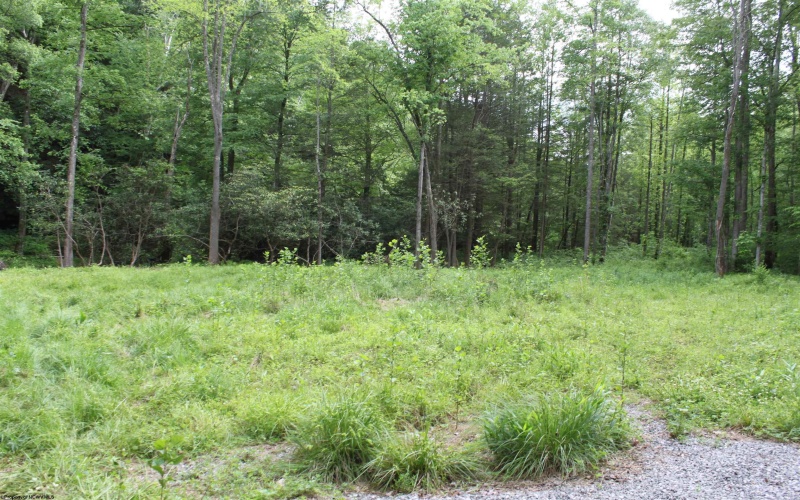 390 Big Sycamore Road, Webster Springs, West Virginia 26288, ,Lots/land,For Sale,Big Sycamore,10165058