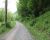 390 Big Sycamore Road, Webster Springs, West Virginia 26288, ,Lots/land,For Sale,Big Sycamore,10165058